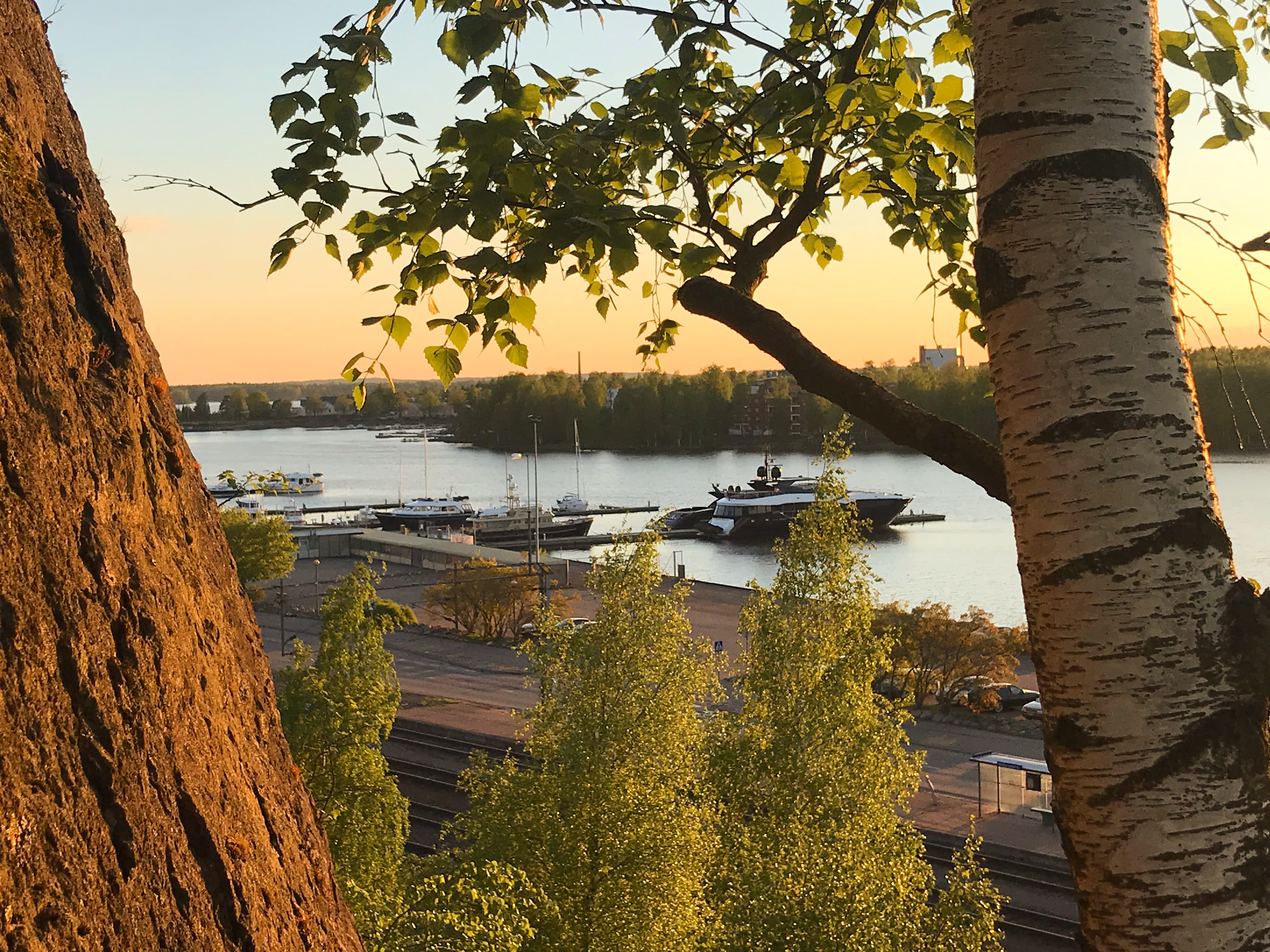 Marina view 8